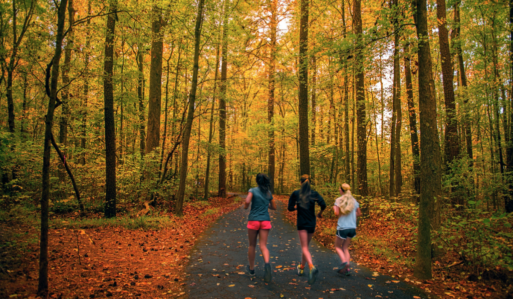 a group of runners enjoying the autumn wonder at a park